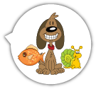 Tiere