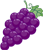 LES RAISINS